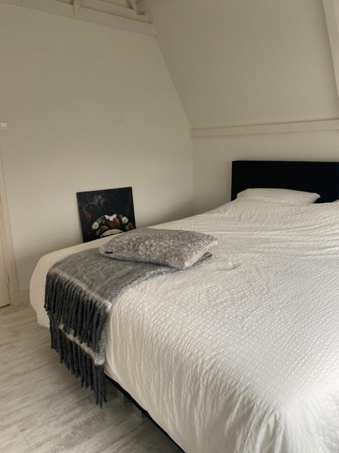 Free Fly Loft 德拉赫滕 外观 照片